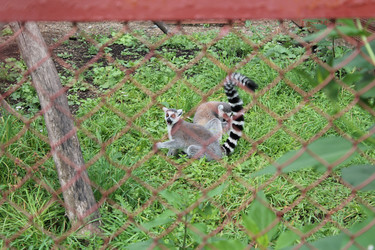 Similar image 21698749