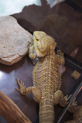 Similar image 21698762