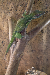 Similar image 21698763