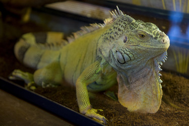 Similar image 21698765