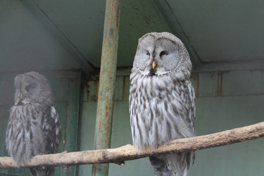 Similar image 21698768