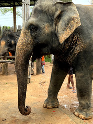 Similar image 21698769