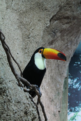 Similar image 21698770