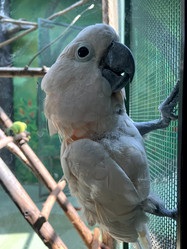 Similar image 21698620