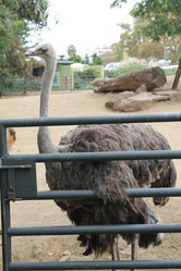 Similar image 21698727