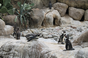 Similar image 21697171