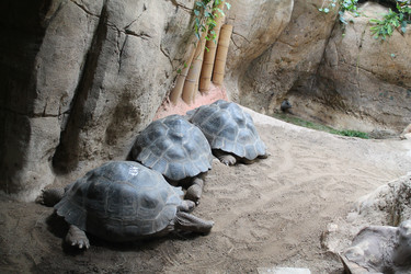 Similar image 21697175