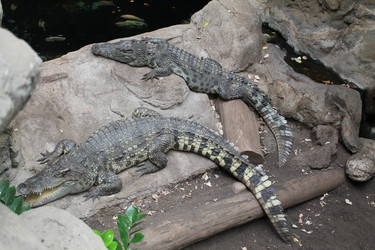 Similar image 21697176