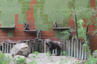 Similar image 21697180