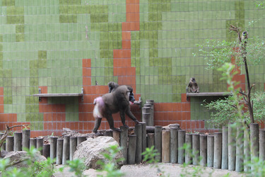 Similar image 21697182