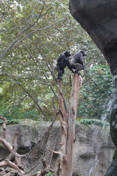 Similar image 21697185