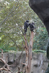 Similar image 21697186