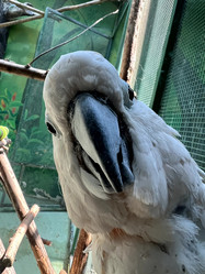 Similar image 21697188