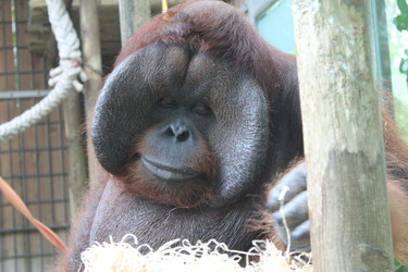 Similar image 21697189