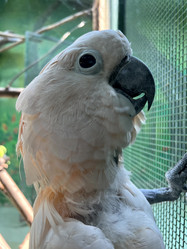 Similar image 21697191