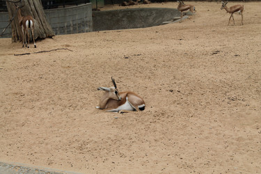 Similar image 21697192