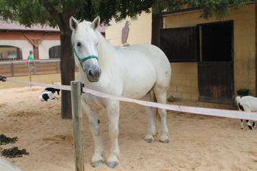 Similar image 21697197