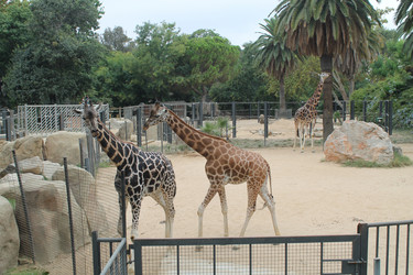 Similar image 21697194