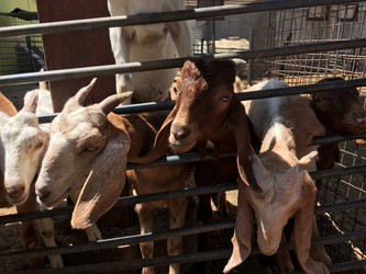 Similar image 21685845