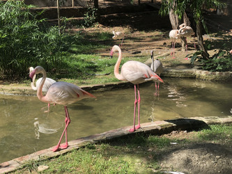 Similar image 21685846