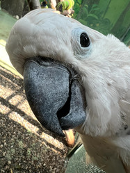 Similar image 21685848