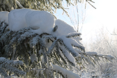 Similar image 21685850