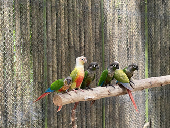 Similar image 21685851