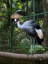 Similar image 21685852