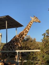 Similar image 21685854