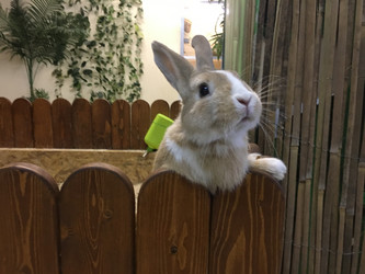 Similar image 21685855