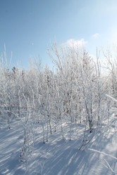 Similar image 21685856