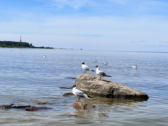 Similar image 21685950