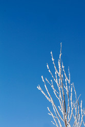 Similar image 21685951