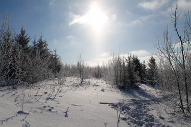 Similar image 21685970