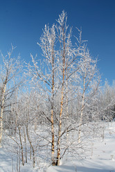 Similar image 21685991