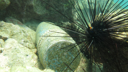 Similar image 21686193