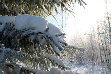 Similar image 21697123