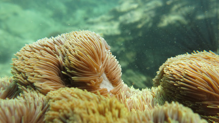 Similar image 21697124