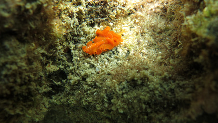 Similar image 21698810