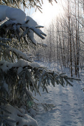 Similar image 21699041