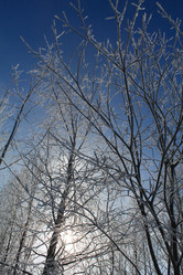 Similar image 21699823