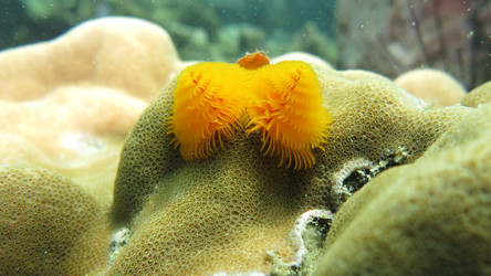 Similar image 21699824