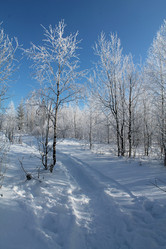 Similar image 21699825