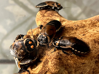 Similar image 21699826