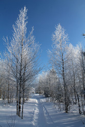 Similar image 21699827