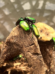 Similar image 21699828