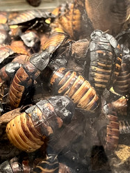 Similar image 21699831