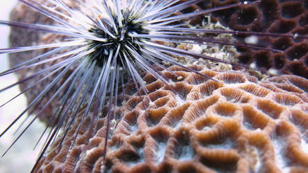 Similar image 21699832