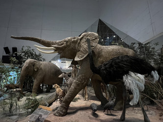 Similar image 21699833