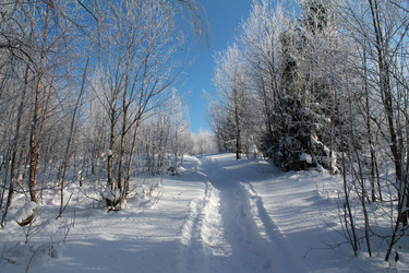 Similar image 21699835